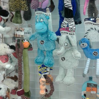 Beall's Outlet - Toys for fur babies - Discount Store Near Me - Tampa, Florida Beall's Outlet - Toys for fur babies - Discount Store Near Me - Tampa, Florida