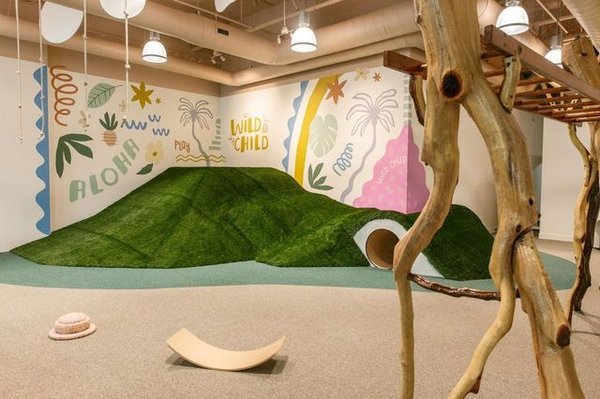 Wild Child Gym by null