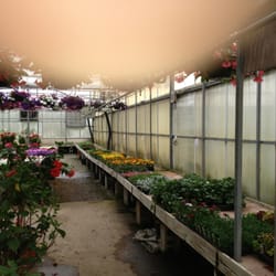 Neitzerts Greenhouse