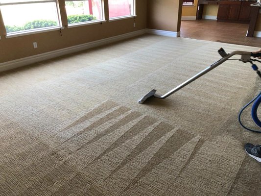 Dirty Carpet? Let's Get Your Carpet Clean Before Your Holiday Company Arrives! - How long has it been since you had your carpet cleaned? How about your couch? Schedule with Steam Pros today to get the deepest clean available! Never be embarrassed by your dirty carpet or couch again!
Stains? We can make them disappear! Odors? No more covering them up! We'll help you take them away for good! Dirty Carpet? Let's Get Your Carpet Clean Before Your Holiday Company Arrives! - How long has it been since you had your carpet cleaned? How about your couch? Schedule with Steam Pros today to get the deepest clean available! Never be embarrassed by your dirty carpet or couch again!
Stains? We can make them disappear! Odors? No more covering them up! We'll help you take them away for good!