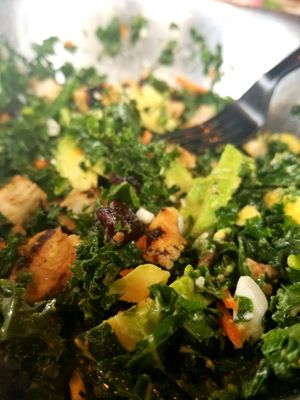 First Course Salad Kitchen by null
