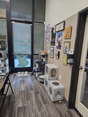 Rescued Treasures Cat Cafe by PALnv by null