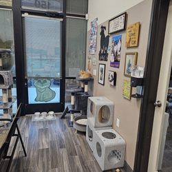 Rescued Treasures Cat Cafe