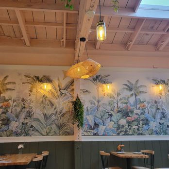 Nua Thai Kitchen - New decor - Thai Near Me - Oakland, California Nua Thai Kitchen - New decor - Thai Near Me - Oakland, California
