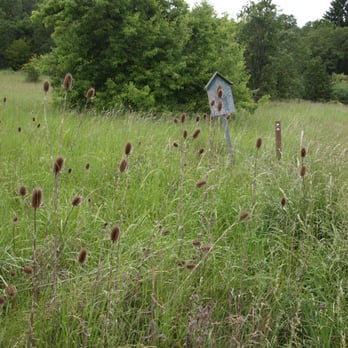 Bald Hill Park - Hiking Near Me - Corvallis, Oregon