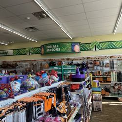 Dollar Tree Stores
