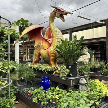 Flamingo Road Nursery - Nurseries & Gardening Near Me - Davie, Florida