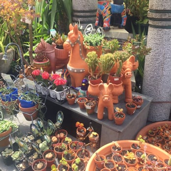 Northroy Nursery - Nurseries & Gardening Near Me - Fitzroy North, VIC