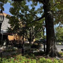 Polo Grill - The outdoor seating was very serene and surrounded by trees. Even in the middle of a parking lot, you had a feeling of privacy.