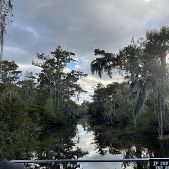 Ultimate Swamp Adventures - Tours Near Me - Westwego, Louisiana