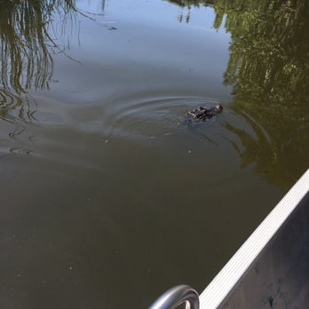 Airboats & Alligators - Boating Near Me - Immokalee, Florida