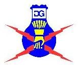 DG Electric Logo