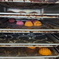 Pasteleria Y Panaderia La Ideal - Concha