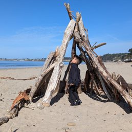 Wood structure at the beach