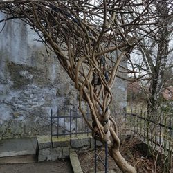Schlosspark Schärding