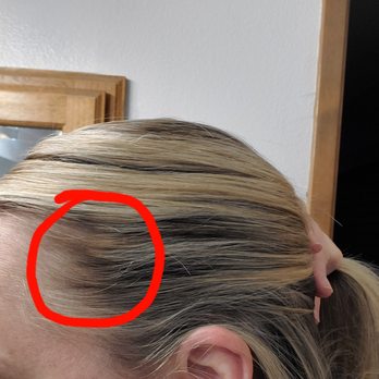 Studio 1221 - Spots of Yellow and Dark. - Hair Salons Near Me - Reno, Nevada Studio 1221 - Spots of Yellow and Dark. - Hair Salons Near Me - Reno, Nevada