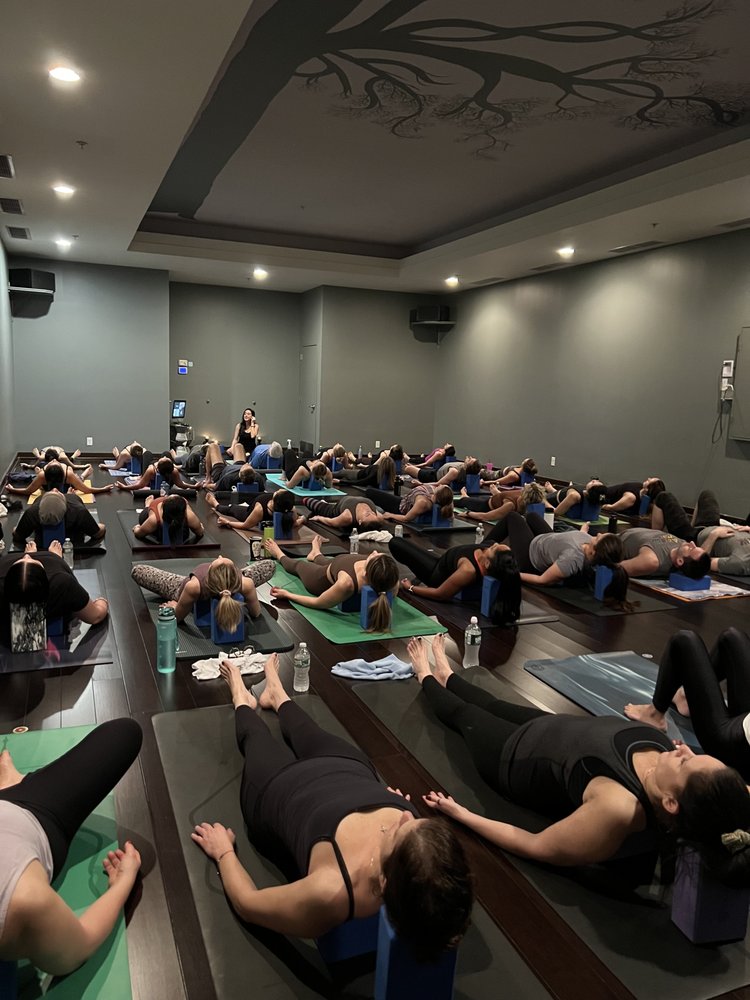 Flow Yoga Studio Logo