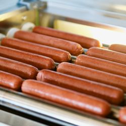 Hot Dawgs