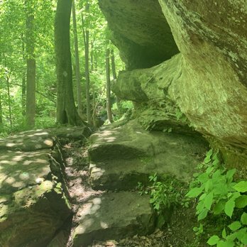 Hoosier National Forest - Parks Near Me - Bedford, Indiana Hoosier National Forest - Parks Near Me - Bedford, Indiana