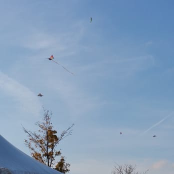 Kuerbisfest Am Himmel - Lots of kites - General Festivals Near Me - Vienna, 9