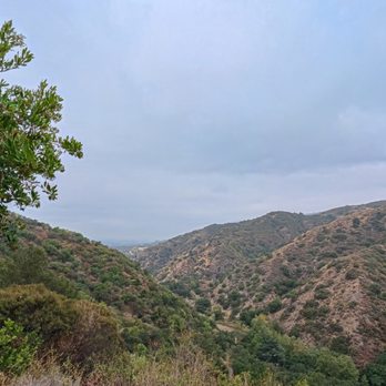 Big Dalton Canyon Wilderness Park - Parks Near Me - Glendora, California Big Dalton Canyon Wilderness Park - Parks Near Me - Glendora, California