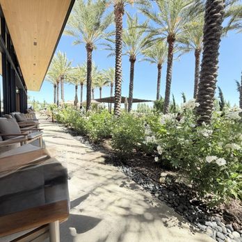 Caymus Suisun Winery - Wine Tasting Room Near Me - Fairfield, California