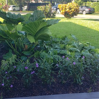 Conde Landscaping - Irrigation Near Me - Miami, Florida