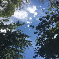 Butterfield Park - Beautiful in the park today, July 2016