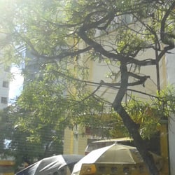 Igreja Bom Jesus do Arraial