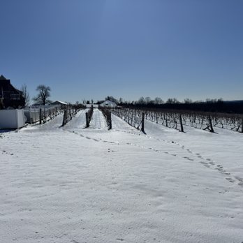 Gouveia Vineyards - Wineries Near Me - Wallingford, Connecticut Gouveia Vineyards - Wineries Near Me - Wallingford, Connecticut