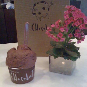 Chocolate SD - Milk Chocolat Gelato - Coffee & Tea Near Me - San Diego, California Chocolate SD - Milk Chocolat Gelato - Coffee & Tea Near Me - San Diego, California
