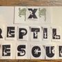 Photo of 4X4 Reptile Rescue