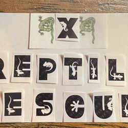 4X4 Reptile Rescue