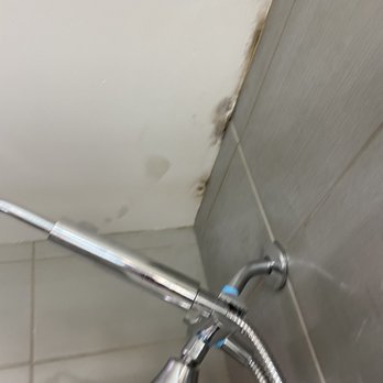Augusta Marriott at the Convention Center - Mold in shower - Hotels Near Me - Augusta, Georgia