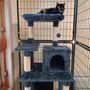 Pet House Suites