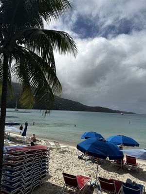 Magens Bay Beach by null
