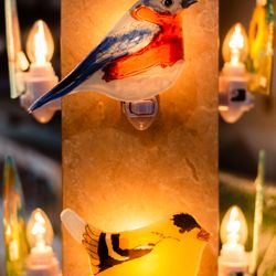 Latitudes Fair Trade Store - Glass nightlights ethically handcrafted in Ecuador.