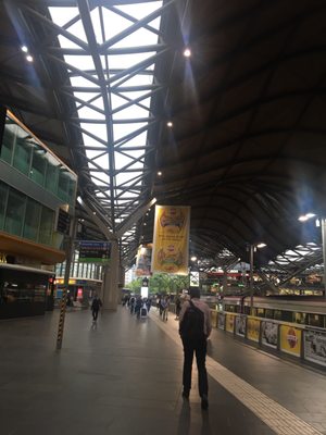 Southern Cross by null