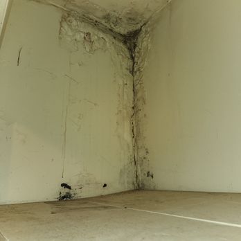 Stevens Realty - Mold in the kitchen. - Property Management Near Me - Cookeville, Tennessee