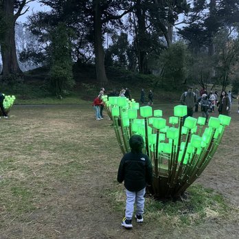 Entwined Lighted Forest - Public Art Near Me - San Francisco, California Entwined Lighted Forest - Public Art Near Me - San Francisco, California