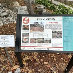 Manhattan Beach Botanical Garden
