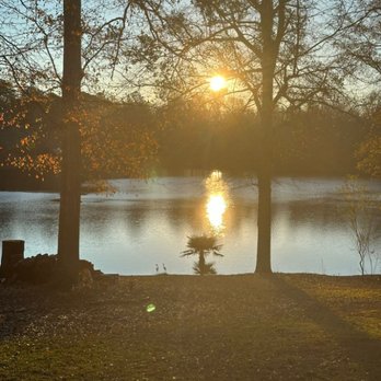 Lake Pawse - Pet Sitting Near Me Lake Pawse - Pet Sitting Near Me