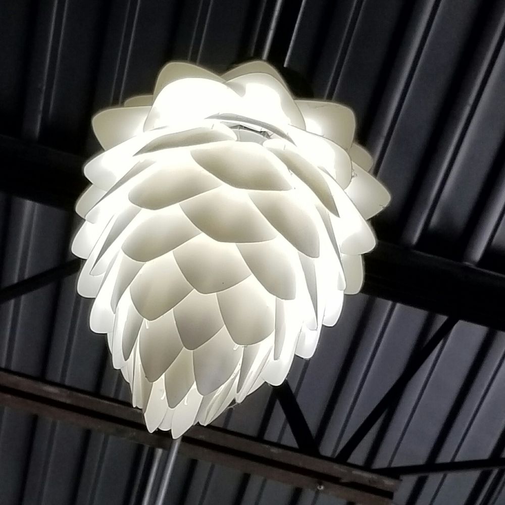 Strange Craft Beer Company - Love the hop pendant lights! - Breweries Near Me - Denver, Colorado Strange Craft Beer Company - Love the hop pendant lights! - Breweries Near Me - Denver, Colorado