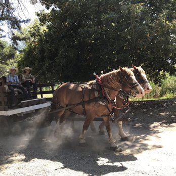 123 Farm - Horse - Farmers Market Near Me - Cherry Valley, California