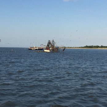 Capt. Mike's Dolphin Adventure Tour - shrimp boat - Tours Near Me - Tybee Island, Georgia Capt. Mike's Dolphin Adventure Tour - shrimp boat - Tours Near Me - Tybee Island, Georgia
