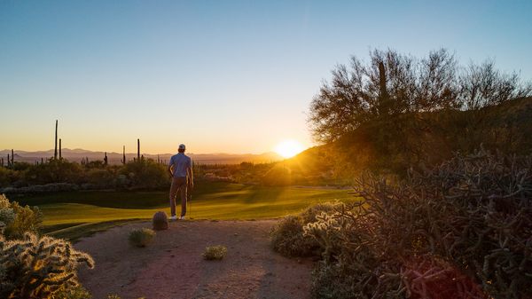 The Ritz-Carlton, Dove Mountain by null