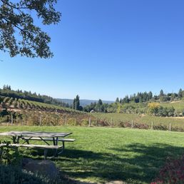 The view from the picnic area. The view from the picnic area.