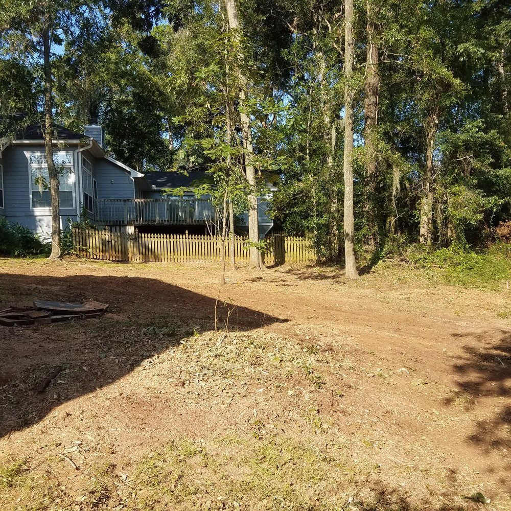 Arborists By Nature - First picture after tree removal and left spotless ! - Tree Services Near Me - Tallahassee, Florida