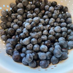 Luna Blue’s Farm-Spa - Buy local!