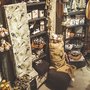 Photo of Pots & Paraphernalia